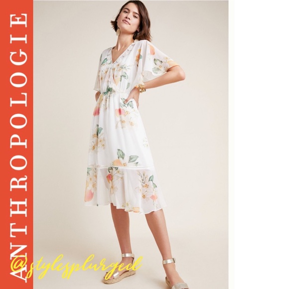 Anthropologie Dresses & Skirts - NWT ANTHRO Farm Rio Eloisa Floral Dress sz medium